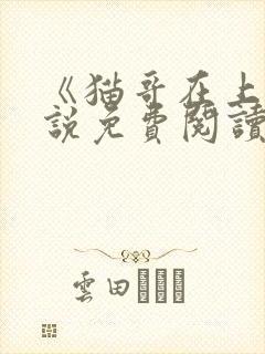 《猫哥在上》小说免费阅读