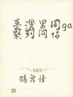 台湾男同gay系列网站封面