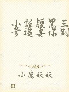 小说腹黑三宝渣爹追妻你别怂小说