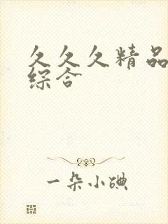 久久久精品国产综合