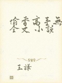 偷香高手无删减全文 小说封面