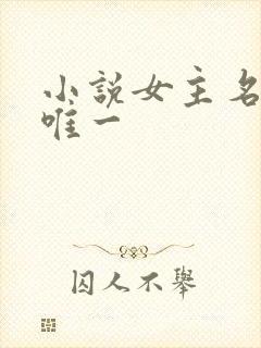 小说女主名叫顾唯一封面