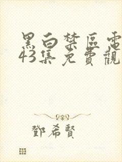 黑白禁区电视剧43集免费观看封面