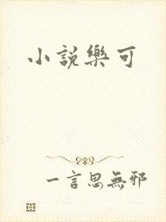 小说乐可封面