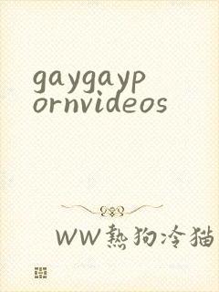 gaygaypornvideos