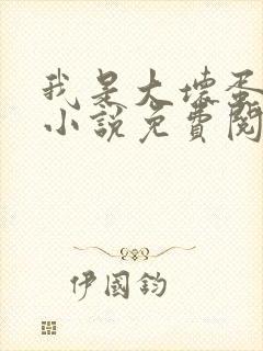 我是大坏蛋原著小说免费阅读