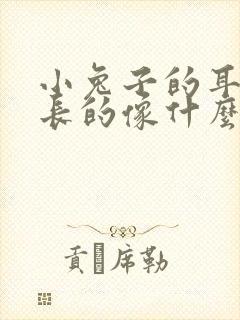 小兔子的耳朵长长的像什么