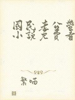 国民老公带回家小说免费看