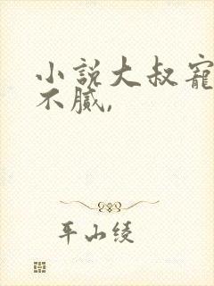 小说大叔宠妻甜不腻,封面