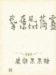 我在风花雪月里等你txt网盘