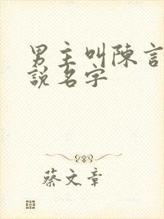 男主叫陈言的小说名字封面