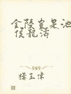 金陵岂是池中物 侯龙涛