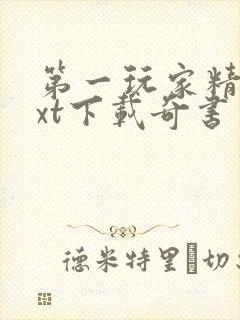 第一玩家精校txt下载奇书网