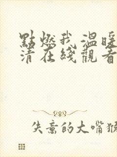 点燃我温暖你高清在线观看电视剧