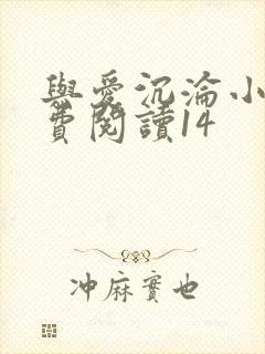 与爱沉沦小说免费阅读14封面