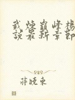 武炼巅峰杨开小说最新章节阅