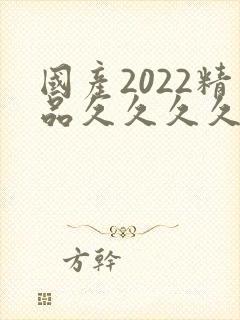 国产2022精品久久久久久封面