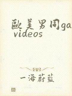欧美男同gay videos
