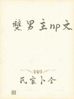 双男主np文