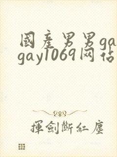 国产男男gaygay1069网站封面
