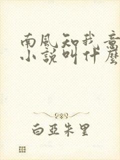 南风知我意原著小说叫什么