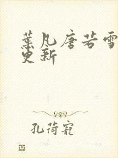 叶凡唐若雪刚刚更新