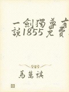 一剑独尊有声小说1855免费听