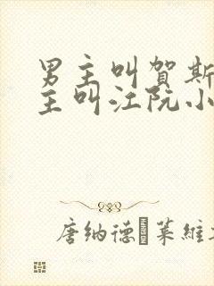 男主叫贺斯聿女主叫江阮小说名字