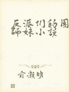 反派们的团宠小师妹小说封面