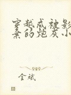 穿越成被影帝抛弃的炮灰小说免费