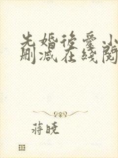 先婚后爱小说无删减在线阅读封面