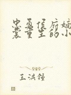 忠勇侯府嫡女云裳重生的小说