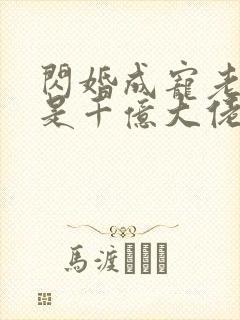 闪婚成宠老公竟是千亿大佬.