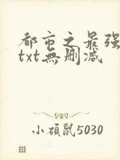 都市之最强狂兵txt无删减