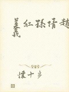 美红孙倩赵敏高义