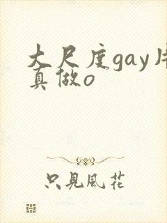大尺度gay片真做o
