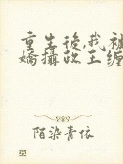 重生后,我被病娇摄政王缠上了在线阅读小说