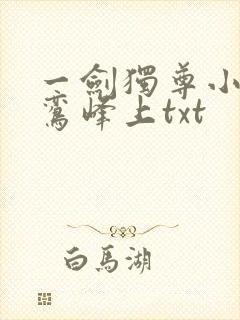 一剑独尊小说青鸾峰上txt封面