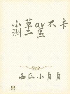 小草av不卡亚洲二区