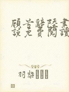 顾兮辞陆聿臻小说免费阅读