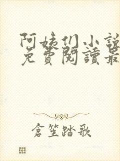 阿姨们小说全文免费阅读最新章节