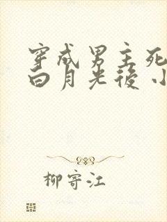 穿成男主死去的白月光后 小说