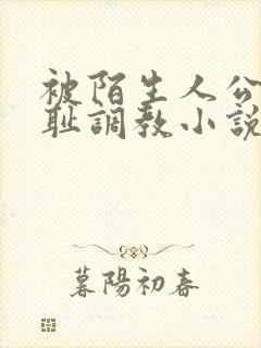 被陌生人公开羞耻调教小说封面