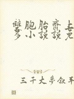 双胞胎齐上阵许多小说说免费封面