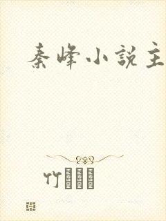 秦峰小说主人公