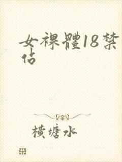 女裸体18禁网站