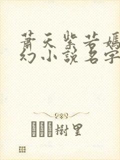 萧天紫若嫣的玄幻小说名字