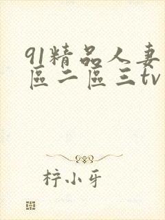 91精品人妻一区二区三tv封面