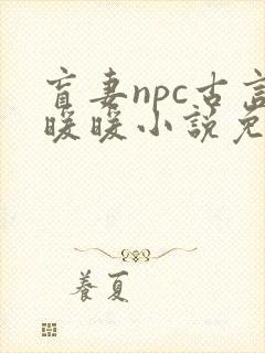 盲妻npc古言暖暖小说免费阅读