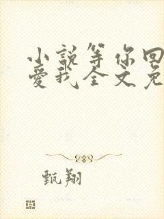 小说等你回眸说爱我全文免费阅读